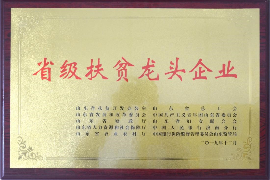 1611304784977310.jpg 1611304784977310.jpg