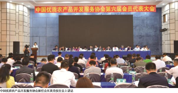 品牌强农 梦想启航 ——访吃瓜网黑料新任会长黄竞仪