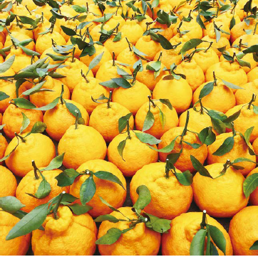 1693462403180984.png 613-2.png