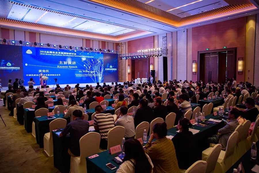 1693463748752322.jpg 613-5.jpg